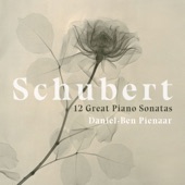 Schubert: 12 Great Piano Sonatas artwork