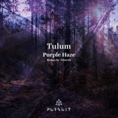 Purple Haze (Alberth Remix) artwork