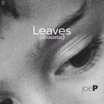 Leaves (Acoustic) by joe p