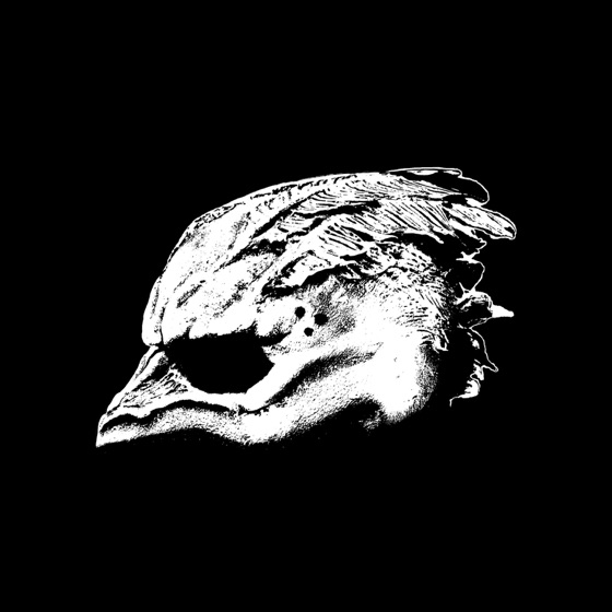 Cover artwork for The Orca