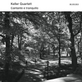 Quartet No. 13 in B-Flat, Op. 130: V: Cavatina: Adagio molto espressivo artwork