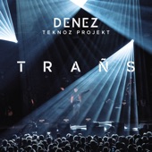 Denez Teknoz Projekt - Trañs (Live à Yaouank) artwork
