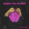 Seeing You Around - Single