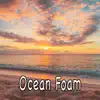 Ocean Foam album lyrics, reviews, download