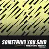 Something You Said (feat. Next to Neon) song lyrics