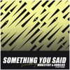 Something You Said (feat. Next to Neon) - Single