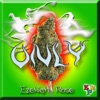 Only (feat. Ezekiah Rose)