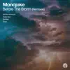 Before the Storm (Remixes) - Single album lyrics, reviews, download