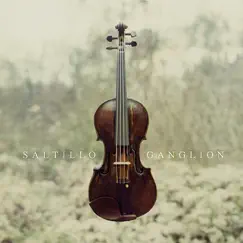 Ganglion by Saltillo album reviews, ratings, credits