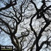 The Tree - EP