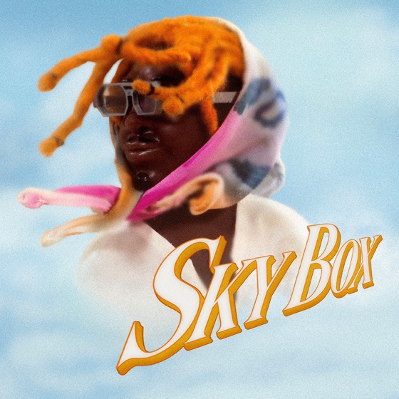 Cover artwork for SKYBOX
