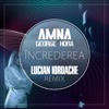 Increderea (Lucian Iordache Remix) - Single