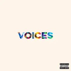 Voices - Single by Jared Evan album reviews, ratings, credits