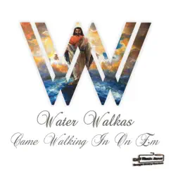 Came Walking in on Em by Water Walkas album reviews, ratings, credits