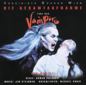 Tanz der Vampire - Das Musical (Gesamtaufnahme der Vereinigten Bühnen Wien) artwork