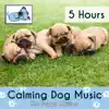 Calming Dog Music: The Puppy Edition - 5 Hours album lyrics, reviews, download