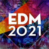 Edm 2021 artwork