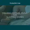 Calming Nature Music for Sleeping Babies album lyrics, reviews, download