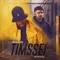 Timssei (feat. Timo Pieni Huijaus) - Sebastian da Costa lyrics