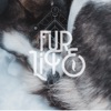 FurLife - Unconditional Love