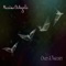 A New Two - Massimo DeAngelis lyrics