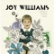 The Look of Love (feat. Tim Myers) - Joy Williams lyrics