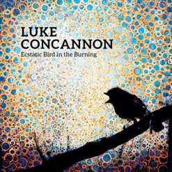 ECSTATIC BIRD IN THE BURNING cover art