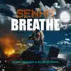 Breathe (Benny Benassi & BB Team Remix) - Single album lyrics, reviews, download