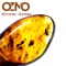 Ethnic Jungle - Ozmo lyrics