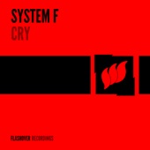 Cry (Kenny Hayes Remix) artwork