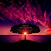 One Creator - 01/04/2020