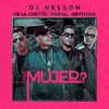 Una Mujer (feat. DJ Nelson) - Single