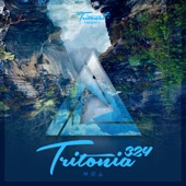 Tritonia 324 artwork