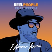 I Never Knew (feat. Speech) [Radio Edit] artwork