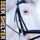 SEEK SHELTER cover art