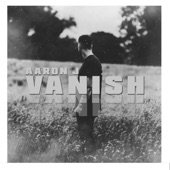 Vanish artwork