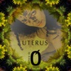 Uterus