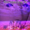 Hype Williams - plumbers incorporated lyrics