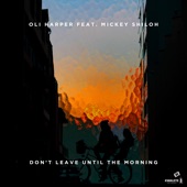 Don't Leave Until the Morning (feat. Mickey Shiloh) artwork