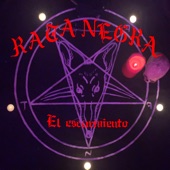 Rata Negra - El Escarmiento