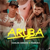 Aruba artwork
