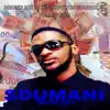 Sdumani (feat. Folley Dee & Undisputed Soundz) - Single album lyrics, reviews, download