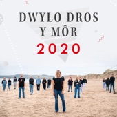 Dwylo Dros y Môr 2020 artwork