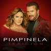Traición by Pimpinela iTunes Track 1
