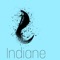 Indiane artwork