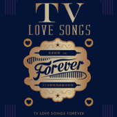TV Love Songs Forever - Various Artists