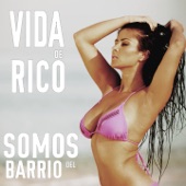 Vida de Rico artwork