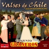 Valses de Chile (Vol. II) artwork