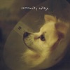 Novocaine / Karaoke - Single