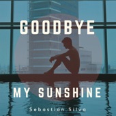 Goodbye My Sunshine artwork